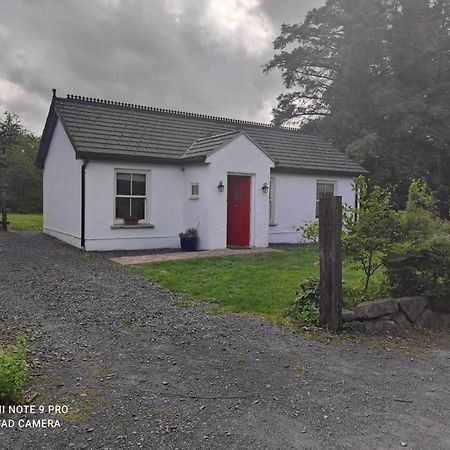 The Wild Farm Lodge Mullingar Exterior photo