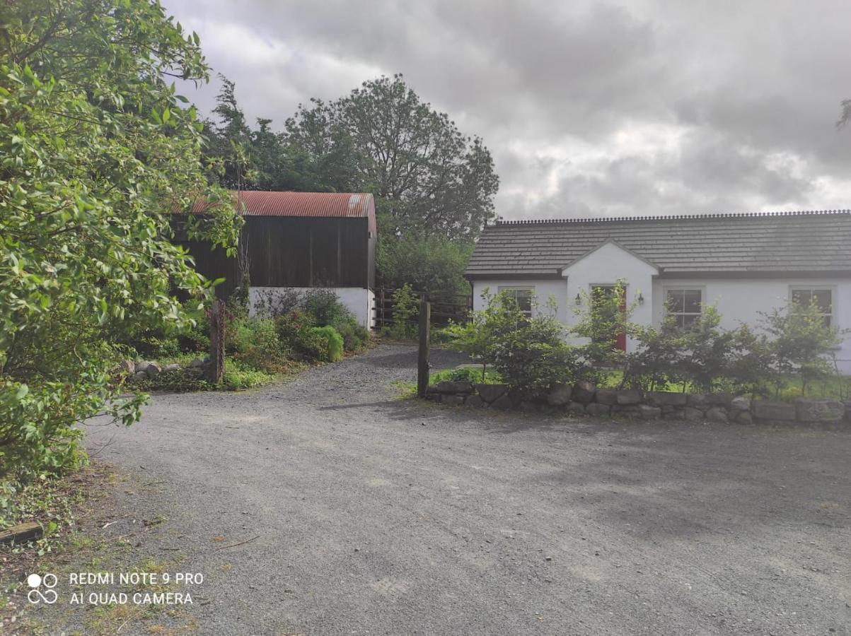 The Wild Farm Lodge Mullingar Exterior photo